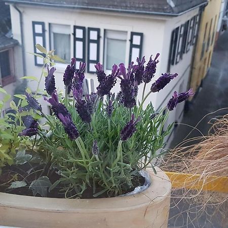 Willa Haus Alfina Zewnętrze zdjęcie