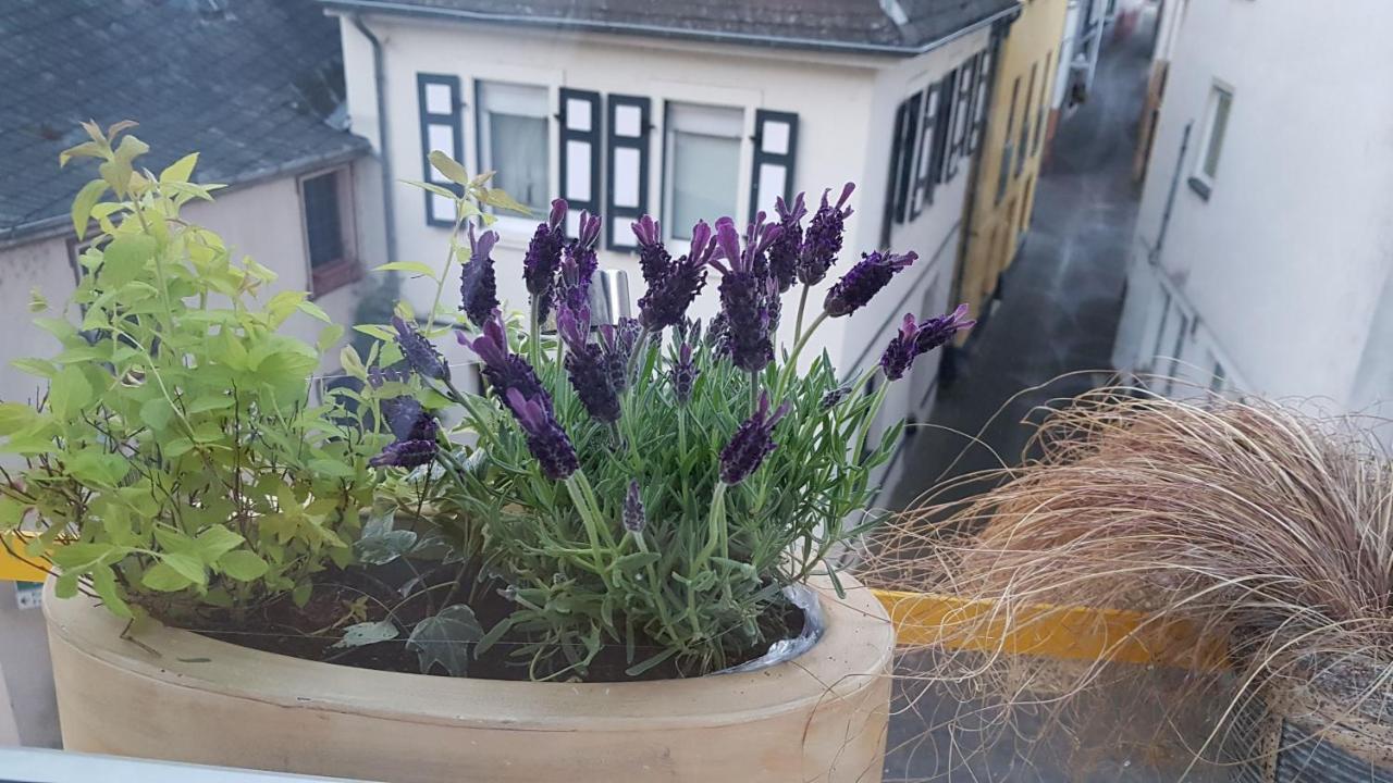 Willa Haus Alfina Zewnętrze zdjęcie